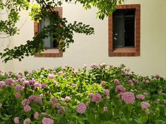 -上海滨江森林公园