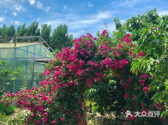 交通：开车过去会方便一些 门口有免费停车的地方
