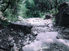 -阳台山自然风景区