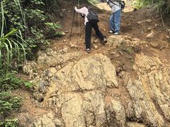 -青龙山国家森林公园
