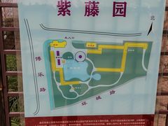 -嘉定紫藤园