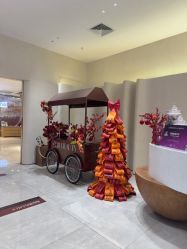 -星和深湾荟医疗美容