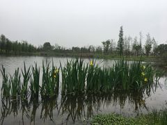 -瑶湖郊野森林公园