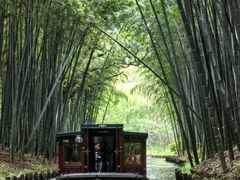 -同里国家湿地公园