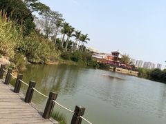 -八仙山公园