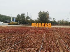 -迪茵湖田家舍生态农场