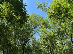 -玉渡山自然风景区