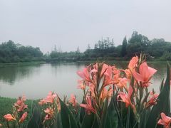 -桤木河湿地公园