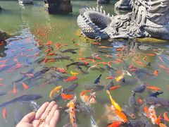 -崇圣寺三塔文化旅游区