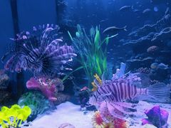 -多彩贵州城极地海洋世界