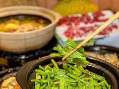 -邹开喜·炭炉鸡煲·海鲜火锅(虹口足球场店)
