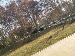-华北军区烈士陵园