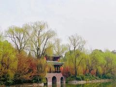 -棠湖公园