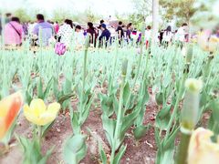 -长春公园(普阳街道)