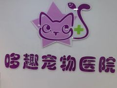 -哆趣宠物医院·眼科·内镜·急重症转诊中心(上海店)