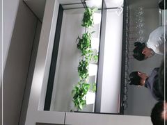 -柿合缘新京菜(国金中心商场店)