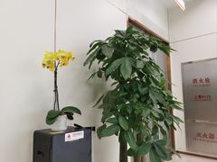 -北京银行(朝阳支行)