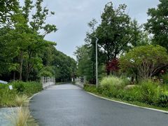 -昆山城市生态森林公园