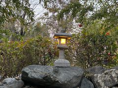 -楼观道温泉酒店