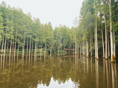 -波尔登森林公园