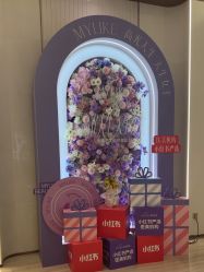 -深圳美莱医疗美容医院