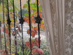 -初见咖啡(青大路店)