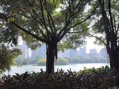 -南宁南湖公园