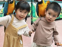 -合肥滨湖国家森林公园