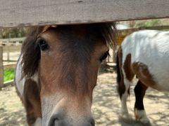 -水上乐园·欢乐世界