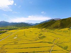 -扁都口生态休闲旅游区
