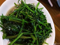 -老马家·舌尖上的西塘美食