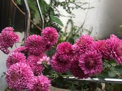 -她说户外烧烤团建(西湖店)