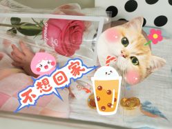 -爱陪伴一对一月子中心(融侨店)
