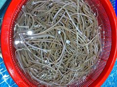 -皮记海鲜1995(寮步店)