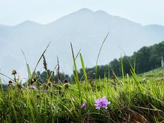 -灵山
