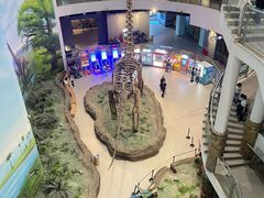-辽宁古生物博物馆