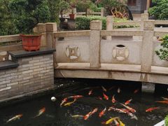 -顺德了能馆(虎门店)