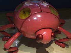 -上海昆虫博物馆