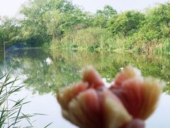 -木守西溪溪隐餐厅