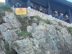 -珞珈山-售票处