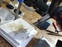 -十八字金·银饰·拼豆·开蚌DIY(魏公芳华里店)