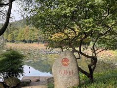 -八卦田遗址公园