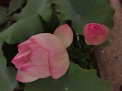 -嘉模圣母教堂