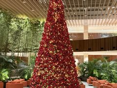 -北京望京凯悦酒店The Lounge大堂酒廊