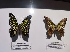 -吉林省自然博物馆