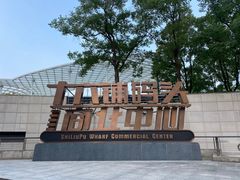 -黄浦江游览(十六铺码头)