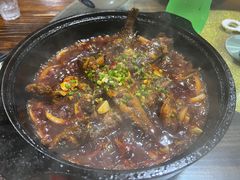 黄焖昂刺鱼-湘当有味(宋诏桥一店)