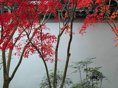 -秋霞圃