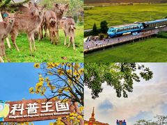 -盈香心动乐园