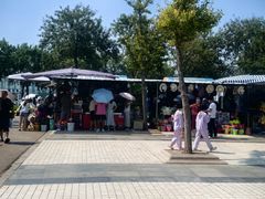 -日照灯塔风景区